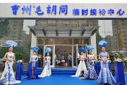 国风盛宴，芳华共赏｜曹州毛胡同临时接待中心华彩绽放！