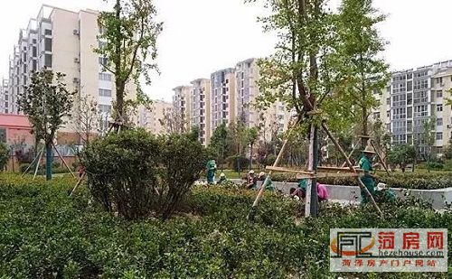 微信图片_20181005210914.jpg