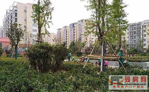 微信图片_20181005210914.jpg