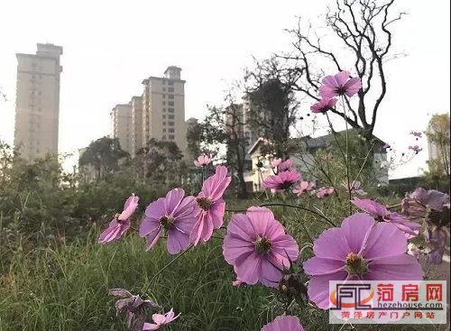 微信图片_20181010171638.jpg