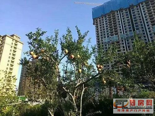 微信图片_20181010171646.jpg