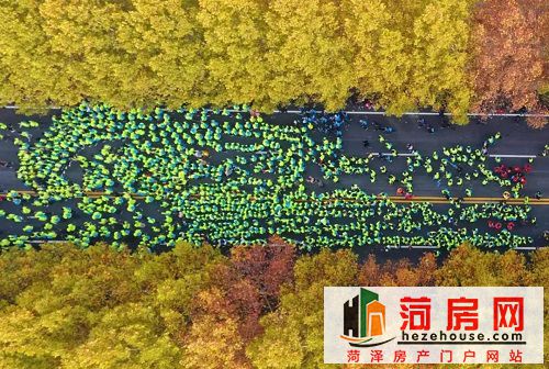 微信图片_20181105162733.jpg