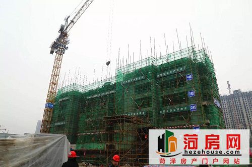 微信图片_20181111212602.jpg