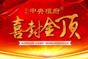 龙翔•中央檀府｜实力见证，匠心筑造，喜封金顶！