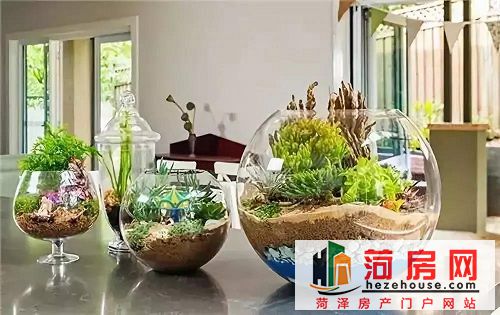 微信图片_20181130162024.jpg