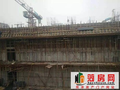 微信图片_20181207093326.jpg