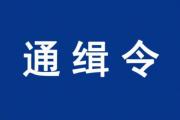 【通缉令】我市警方公开通缉21名在逃人员