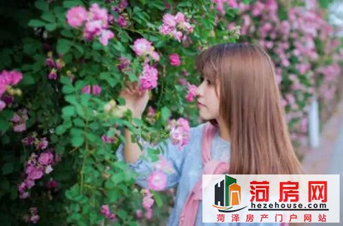 微信图片_20181217165314.jpg