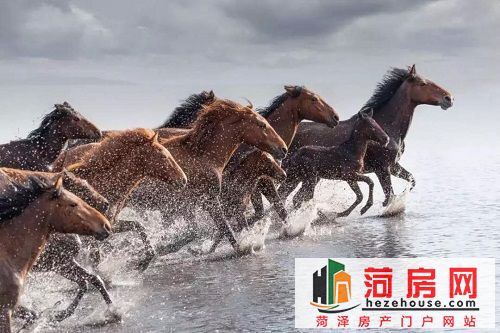 微信图片_20190102182448.jpg