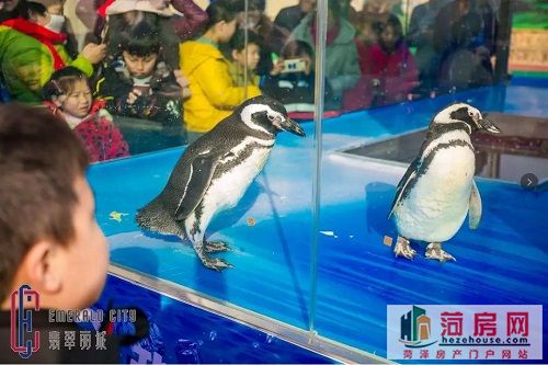 微信图片_20190121181357.jpg