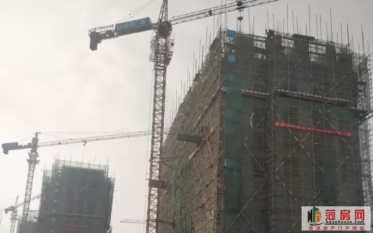 微信图片_20190304140441_副本.jpg
