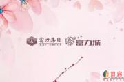菏泽富力城丨花之物语 插花DIY活动甜蜜来袭