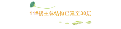 11.png