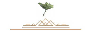 15.png