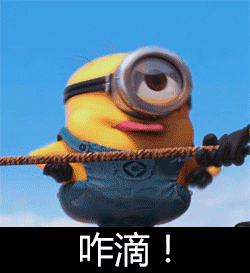 6.gif