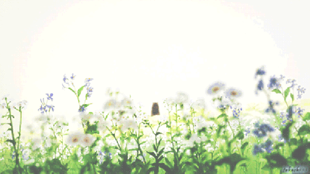1.gif