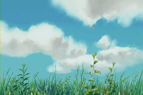 19.gif