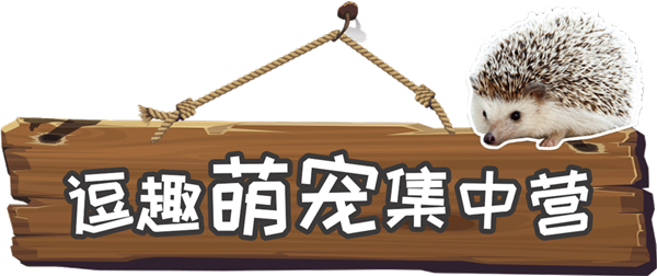 7.png