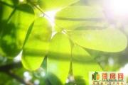 硬核品质+顶优学区最后入场券，万达禧园火爆预约中~~~