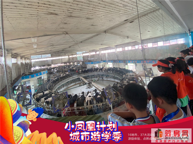图片5.png