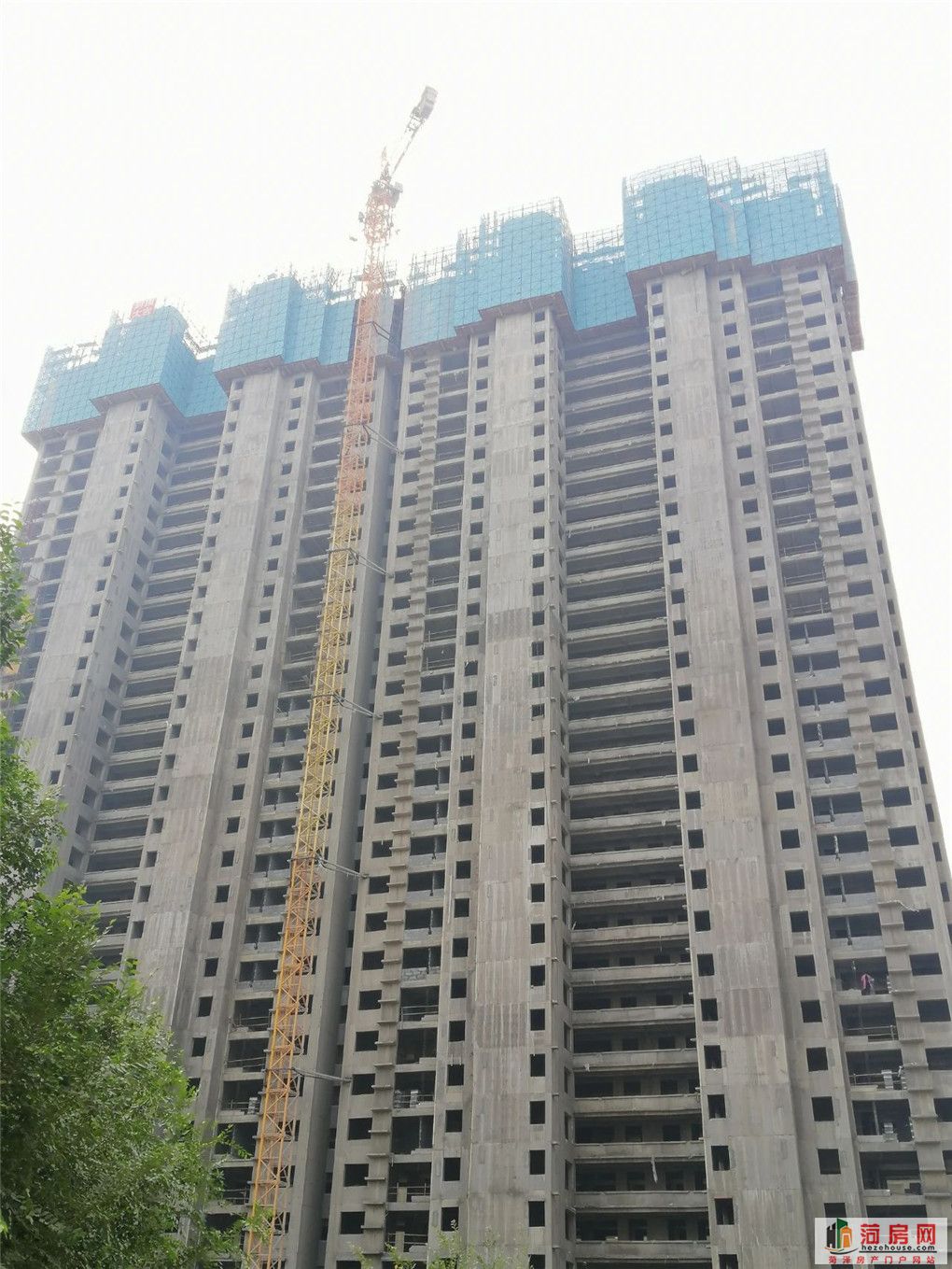 19.jpg