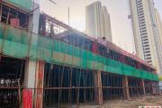 金秋落叶起，吾悦家音至 | 龙翔•中央悦府10月工程播报