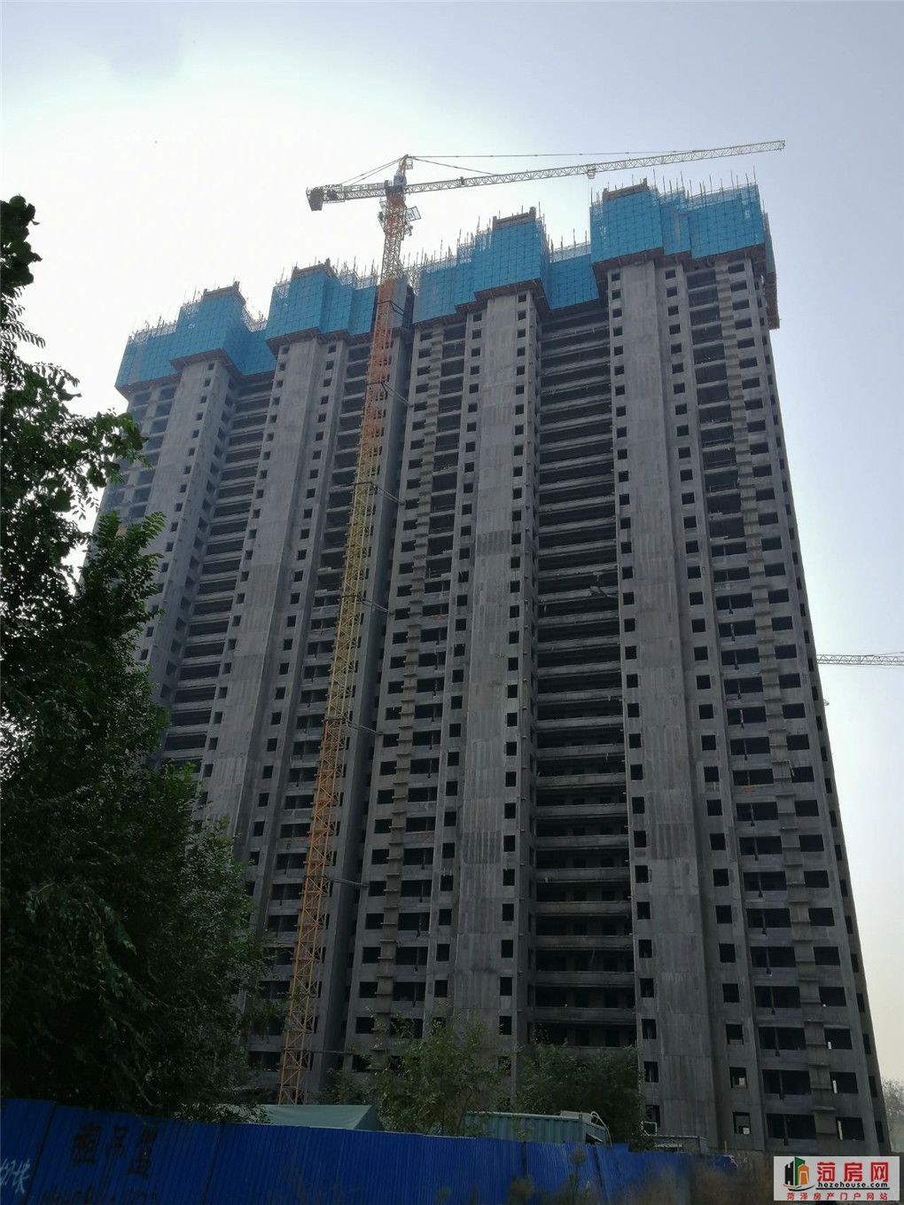 19.jpg