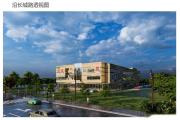 菏泽1地块、2农贸市场规划方案公示！
