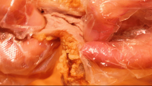 5.gif