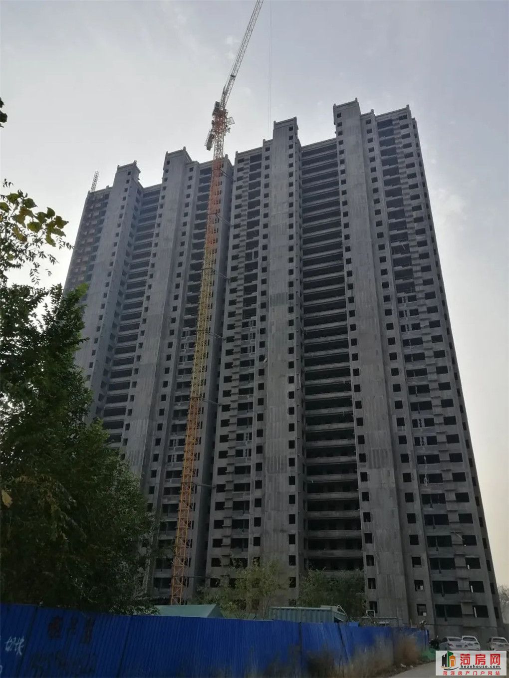 19.jpg