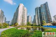10年后，房子是“钻石价”还是“大葱价”？开发商大佬给出答案
