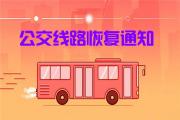 菏泽城区公交线路全部恢复运营！