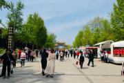 2025世界牡丹大会开幕 暨第34届菏泽国际牡丹文化旅游节，牡丹园最佳赏花时段公布