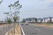 菏泽—鄄城！人民路北延（国花大道至鄄城界）全面通车