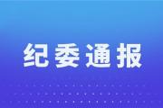 菏泽马飞严重违纪违法被开除党籍！