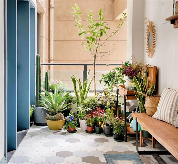 11155155e45d5de6a23698.jpg 5.jpg