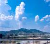 山东临沂山区林地、一般耕地3000亩，对外流转（长期出租土地经营权）